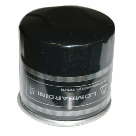 Filtro Olio - Lombardini Ldw422 Ldw480 – Ed0021752180-S (1010476)